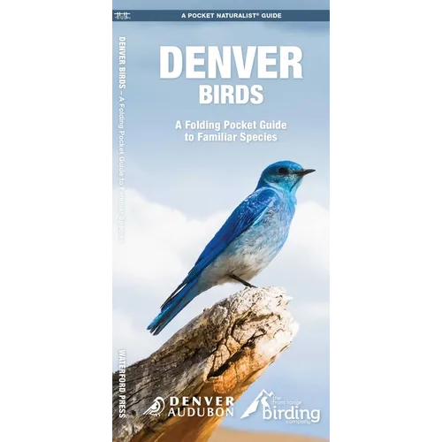 Denver Birds, 2nd Ed: A Folding Pocket Guide to Familiar Species