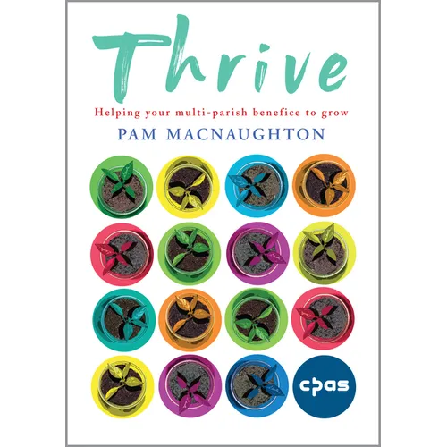Thrive: Helping your multi-parish benefice to grow - Paperback
