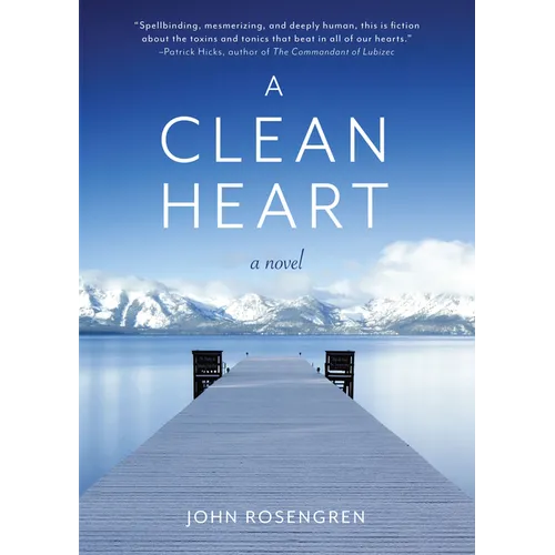 A Clean Heart: A Novel (Alcoholism, Dysfunctional Family, Recovery, Redemption, 12-Steps) - Paperback