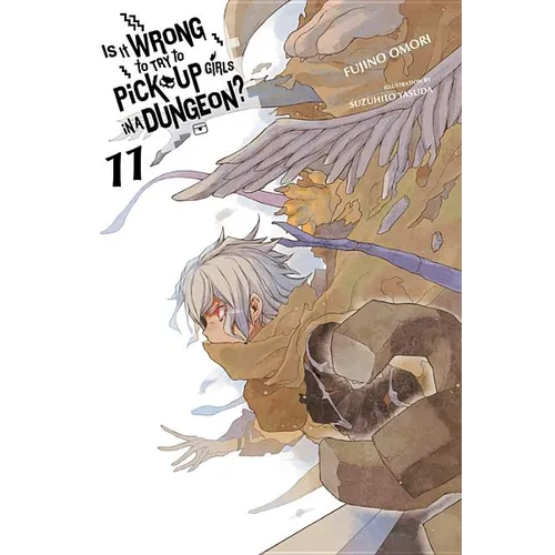 Is It Wrong to Try to Pick Up Girls in a Dungeon?, Vol. 11 (Light Novel) - Paperback