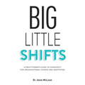 Big Little Shifts: A Practitioner's Guide to Complexity for Organisational Change and Adaptation - Paperback