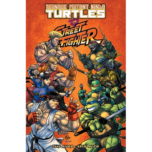 Teenage Mutant Ninja Turtles vs. Street Fighter - Paperback