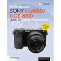 David Busch's Sony Alpha A6100/Ilce-6100 Guide to Digital Photography - Paperback