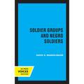 Soldier Groups and Negro Soldiers - Paperback