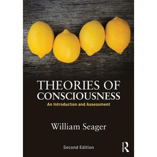 Theories of Consciousness: An Introduction and Assessment - Paperback