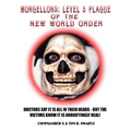 Morgellons: Level 5 Plague of the New World Order - Paperback