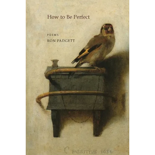 How to Be Perfect - Paperback