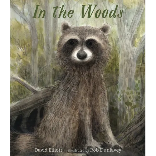In the Woods - Hardcover