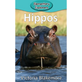 Hippos - Hardcover