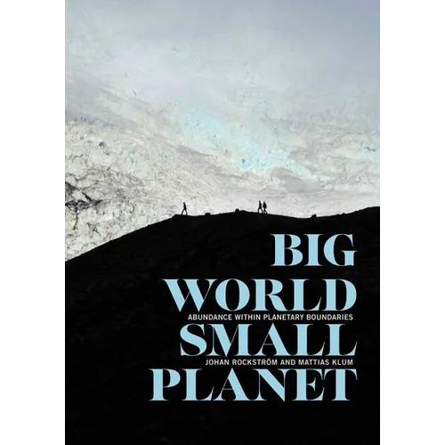Big World, Small Planet: Abundance Within Planetary Boundaries - Hardcover