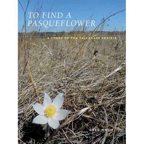 To Find a Pasqueflower: A Story of the Tallgrass Prairie - Paperback