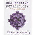 Qualitative Methodology: A Practical Guide - Paperback