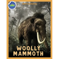 Woolly Mammoth Activity Workbook ages 4-8 - Paperback