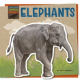 Elephants - Paperback