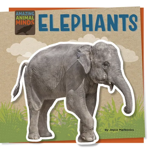 Elephants - Paperback