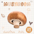 Mushroom - Paperback