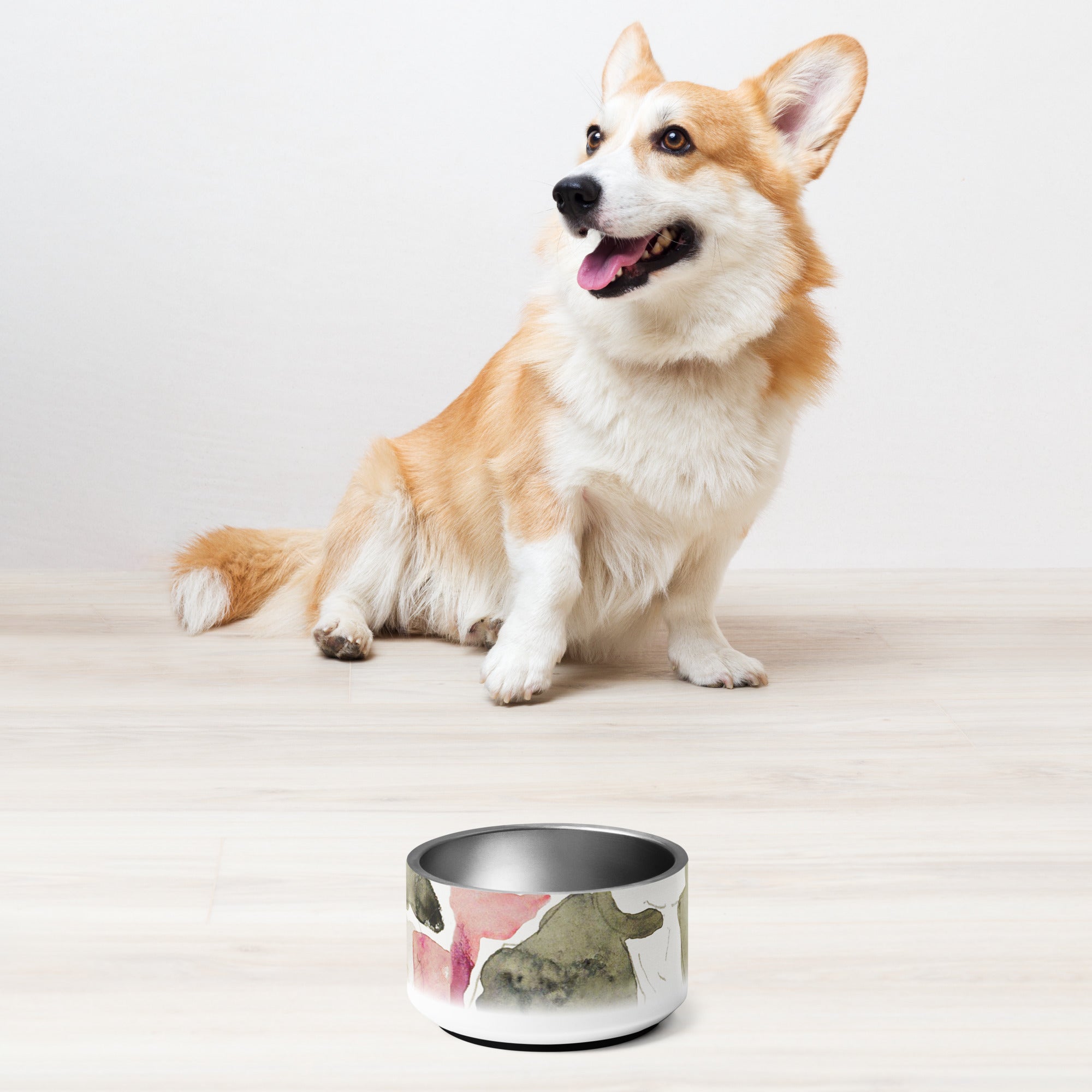 Sebastian & Clementine Studies Pet Bowl