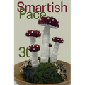 Smartish Pace: Issue 30 - Paperback