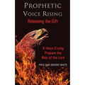 Prophetic Voice Rising: Releasing the Gift - Paperback