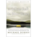 A Yellow Raft in Blue Water - Paperback