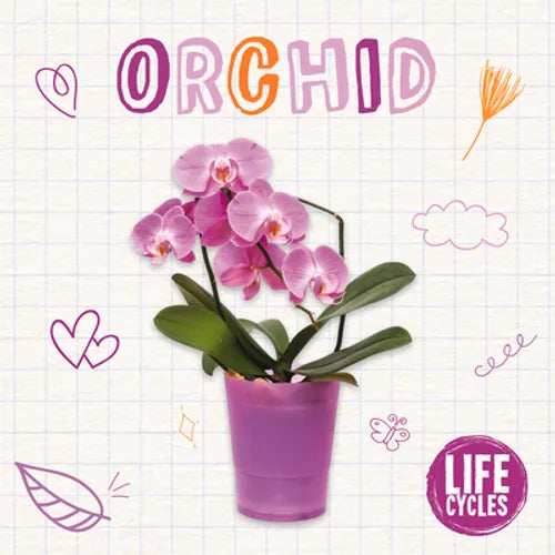 Orchid - Paperback