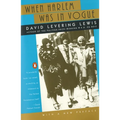 When Harlem Was in Vogue - Paperback