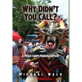 Why Didn't You Call?: A Peace Corps Panama Exposé - Hardcover
