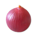 Purple Onion Zipper Coin Purse