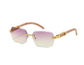 Sunglasses: Style 0805A