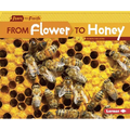 From Flower to Honey - Paperback