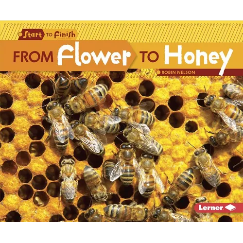 From Flower to Honey - Paperback