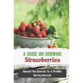 A Guide On Growing Strawberries: Reveal The Secrets To A Prolific Berry Harvest - Paperback