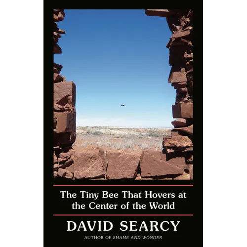 The Tiny Bee That Hovers at the Center of the World - Paperback