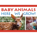 Baby Animals!: Here We Grow - Board Book