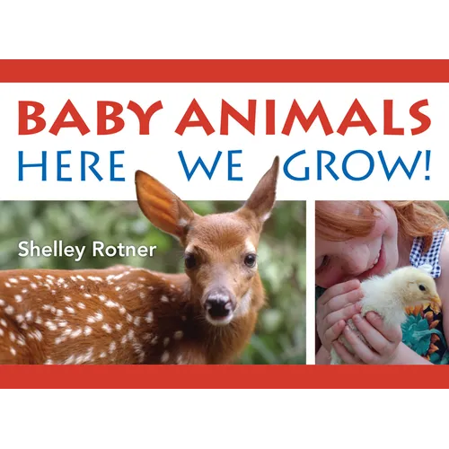 Baby Animals!: Here We Grow - Board Book
