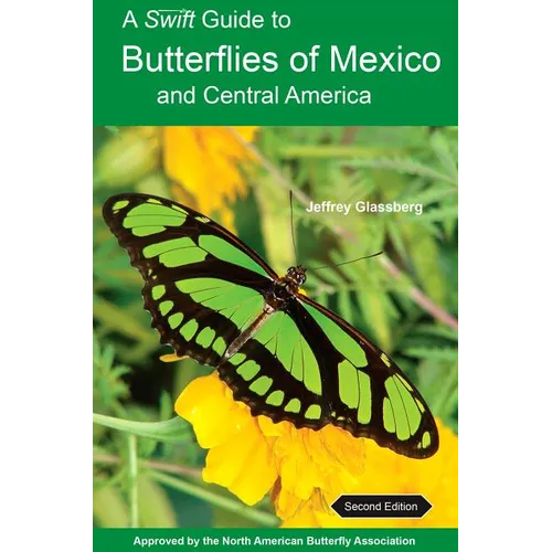 A Swift Guide to Butterflies of Mexico and Central America: Second Edition - Paperback