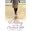 The Divine Destiny of the Comeback Kid - Paperback