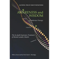 Awareness and Wisdom in Addiction Therapy: The In-Depth Systemics Treatment of Mental-somatic Models - Paperback