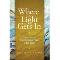 Where the Light Gets In: Stories about the Transformative Power of One Action - Paperback