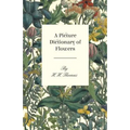 A Picture Dictionary of Flowers - Paperback