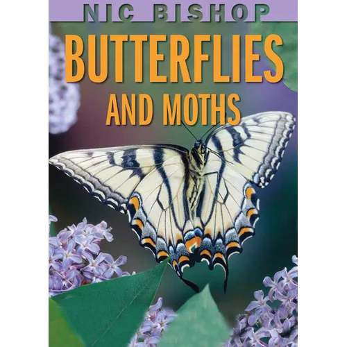 Nic Bishop: Butterflies and Moths - Hardcover