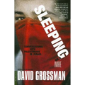Sleeping on a Wire: Conversations with Palestinians in Israel - Paperback