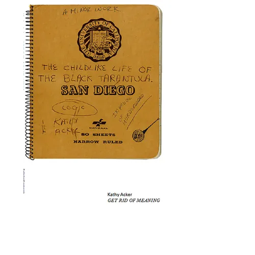 Kathy Acker: Get Rid of Meaning - Paperback