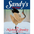 Sandy's First Flight - Paperback