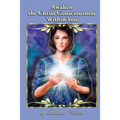 Awaken the Christ Consciousness within You - Paperback