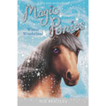 Winter Wonderland - Paperback