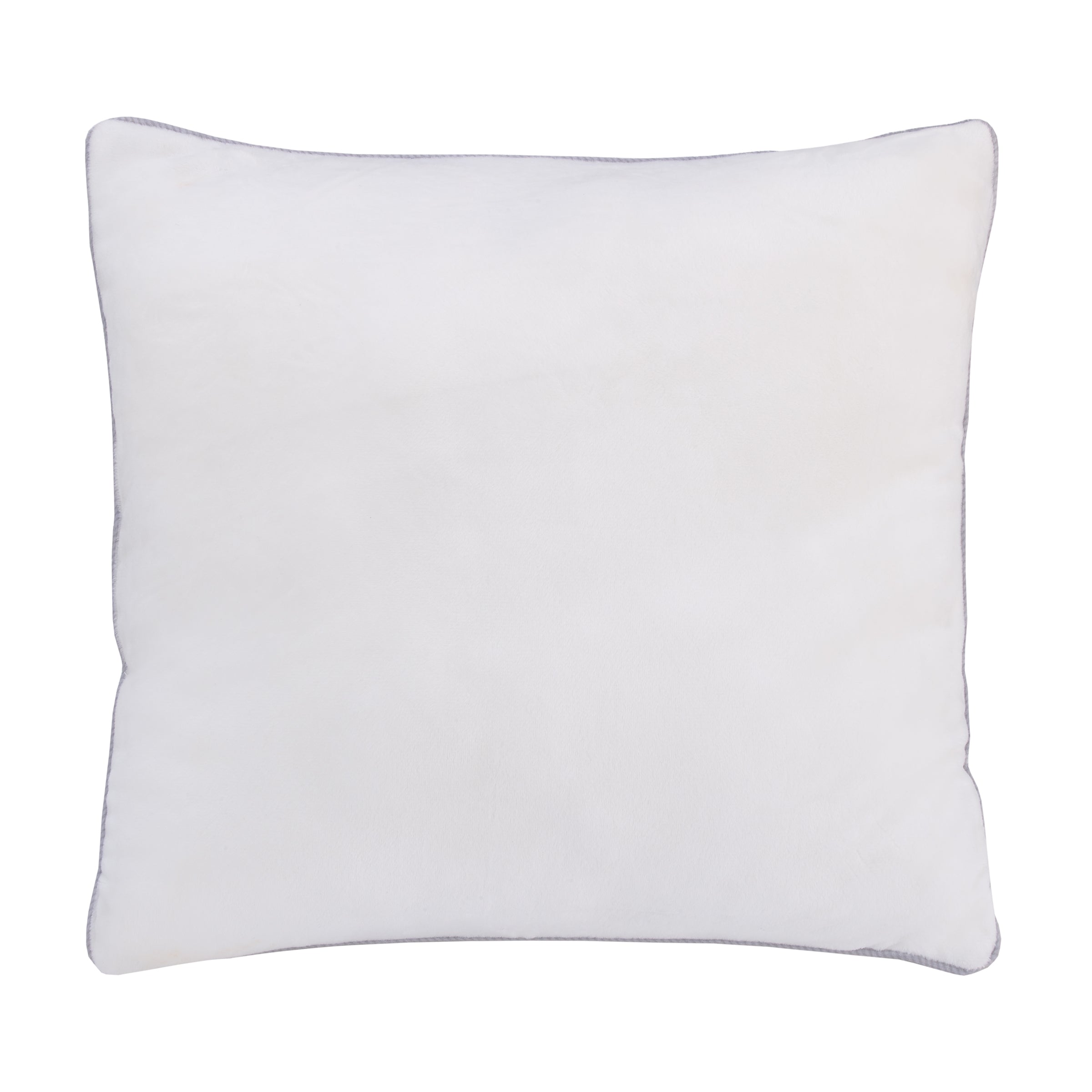 Classic Pooh Naturally Friends Ivory and Taupe Magical New Beginnings Appliqued Decorative Pillow