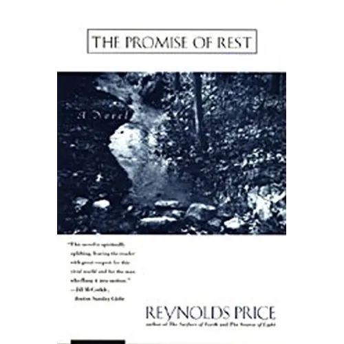 The Promise of Rest - Paperback