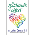 The Gratitude Effect - Paperback