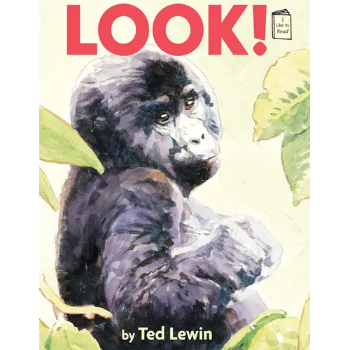 Look! - Paperback